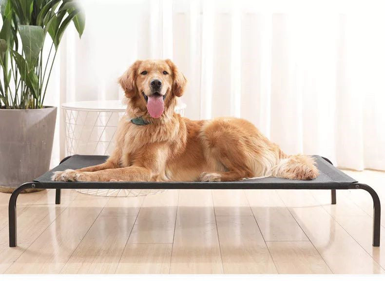 Cama alta para online perros